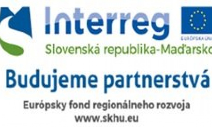 25.1.2020 - 1. odborný workshop - naši odborníci v Nyíregyháze