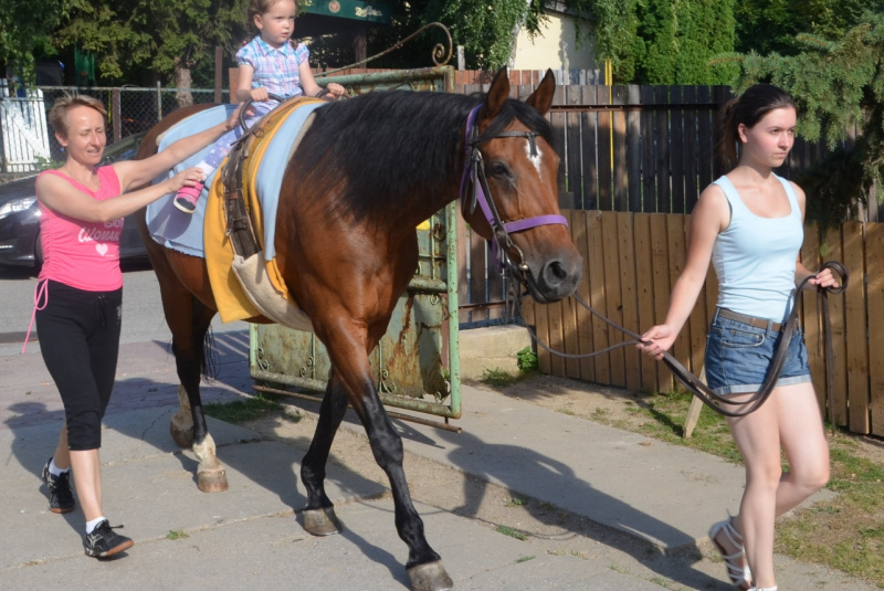 2017/August - Na chrbte koňa k samostatným krokom 