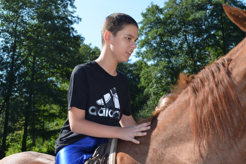 2015 / August - Farma, ranč a vitálny svet 2015 / August - Farma, ranč a vitálny svet