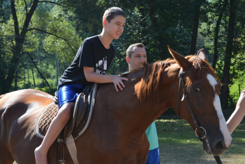 2015 / August - Farma, ranč a vitálny svet 2015 / August - Farma, ranč a vitálny svet