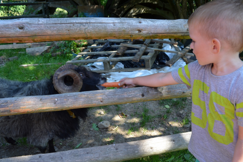 2015 / August - Farma, ranč a vitálny svet 2015 / August - Farma, ranč a vitálny svet