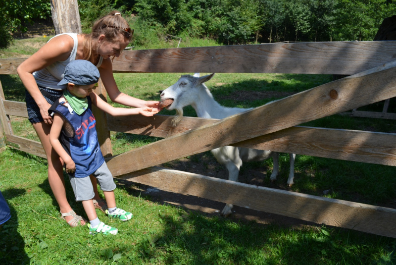  2015 / August - Farma, ranč a vitálny svet