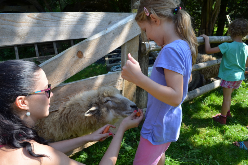 2015 / August - Farma, ranč a vitálny svet 2015 / August - Farma, ranč a vitálny svet