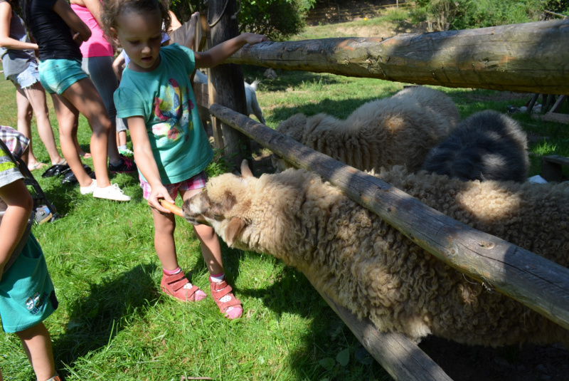 2015 / August - Farma, ranč a vitálny svet 2015 / August - Farma, ranč a vitálny svet