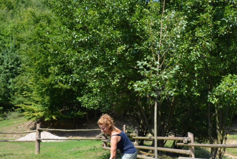 2015 / August - Farma, ranč a vitálny svet 2015 / August - Farma, ranč a vitálny svet