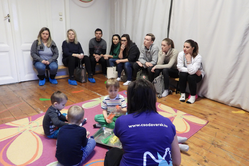 2020/január - 2. workshop - odborníci v Nyíregyháze 2020/január - 2. workshop - odborníci v Nyíregyháze