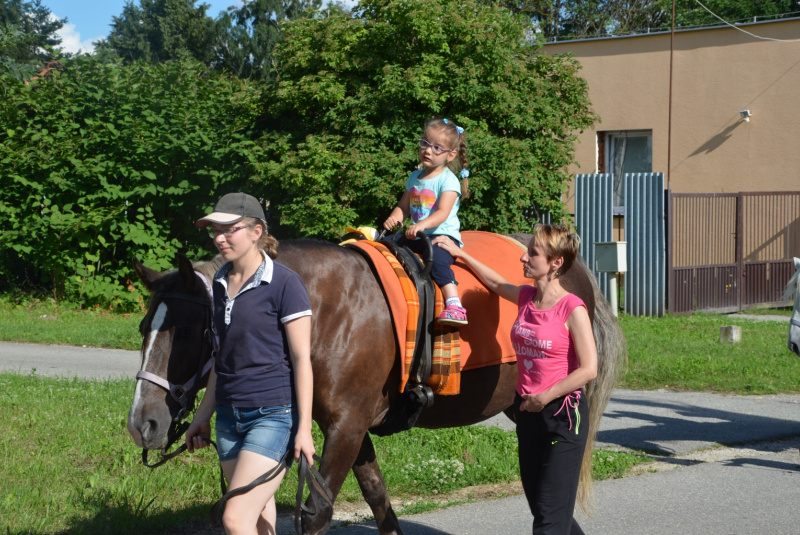  2017/August - Na chrbte koňa k samostatným krokom 