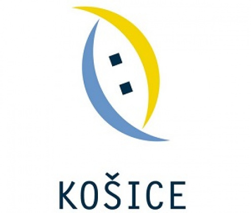 Mesto Košice n. f. Mesto Košice n. f.